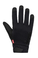 Gloves EVO RACE black 