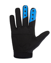 Handschuhe EVO blau