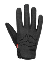 Gloves FLOW V2 schwartz