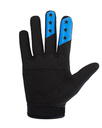 Handschuhe EVO blau